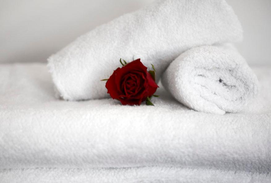 Kamer Rose Des Sables