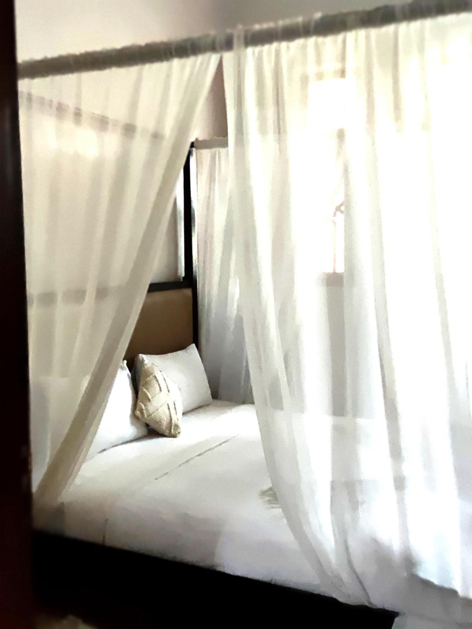 Superior Suite,1630008813:JPEG