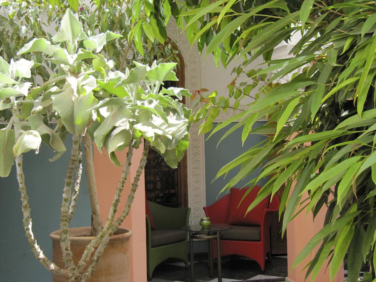 Suite with Terrace