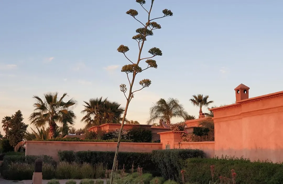 Exclusive Pool Villa Marrakech-1
