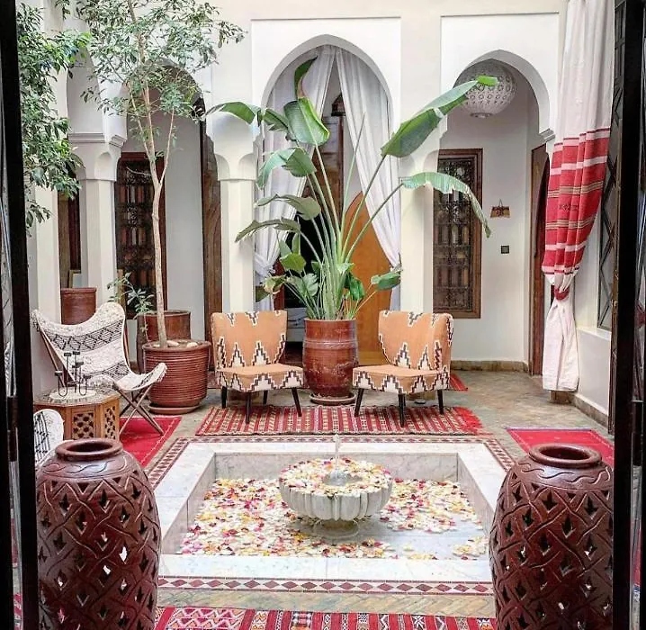 Riad Anais-1