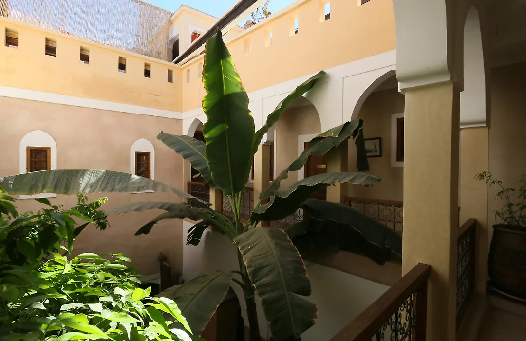 Riad Sidi Mimoune & Spa-1