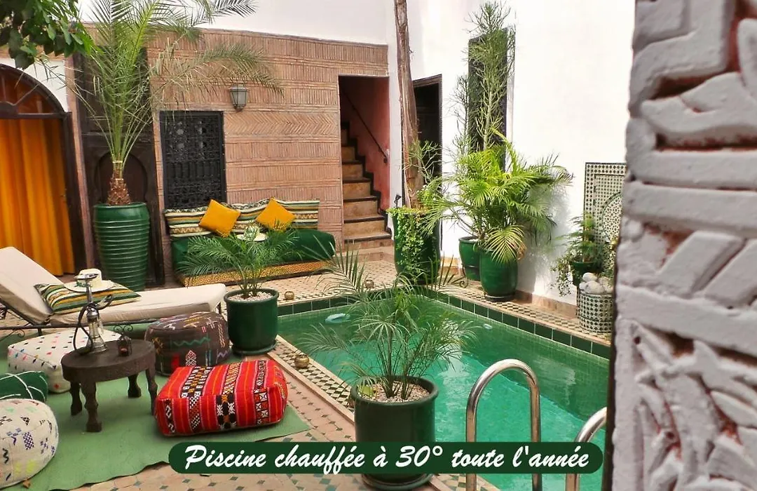 Riad Ayada-1