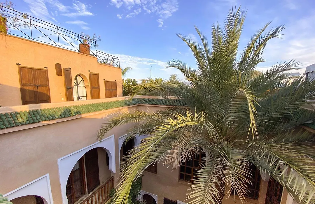 Riad Selouane-1