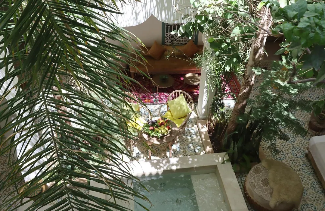 Riad Naanaa Bed & Breakfast-1