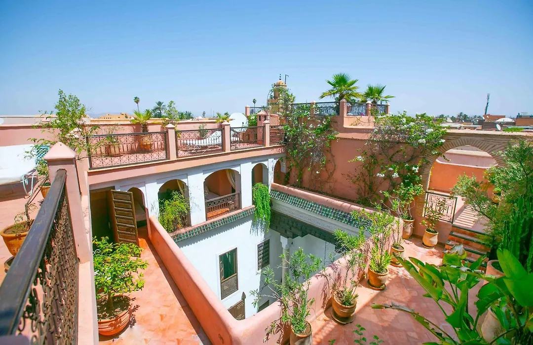Riad Marelia-1