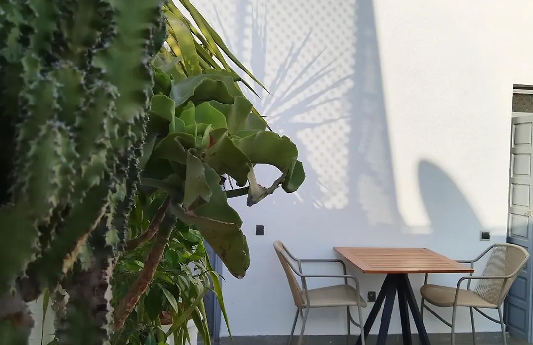 Riad L'Arganier-1