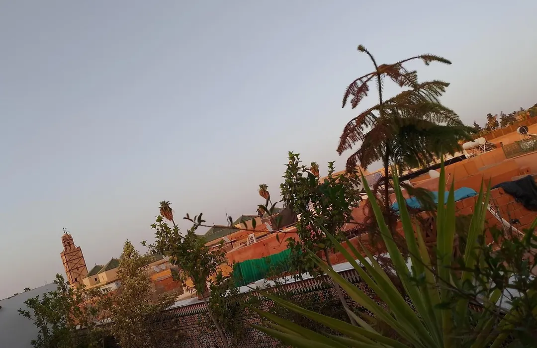 Bab Doukkala Marrakesh-1