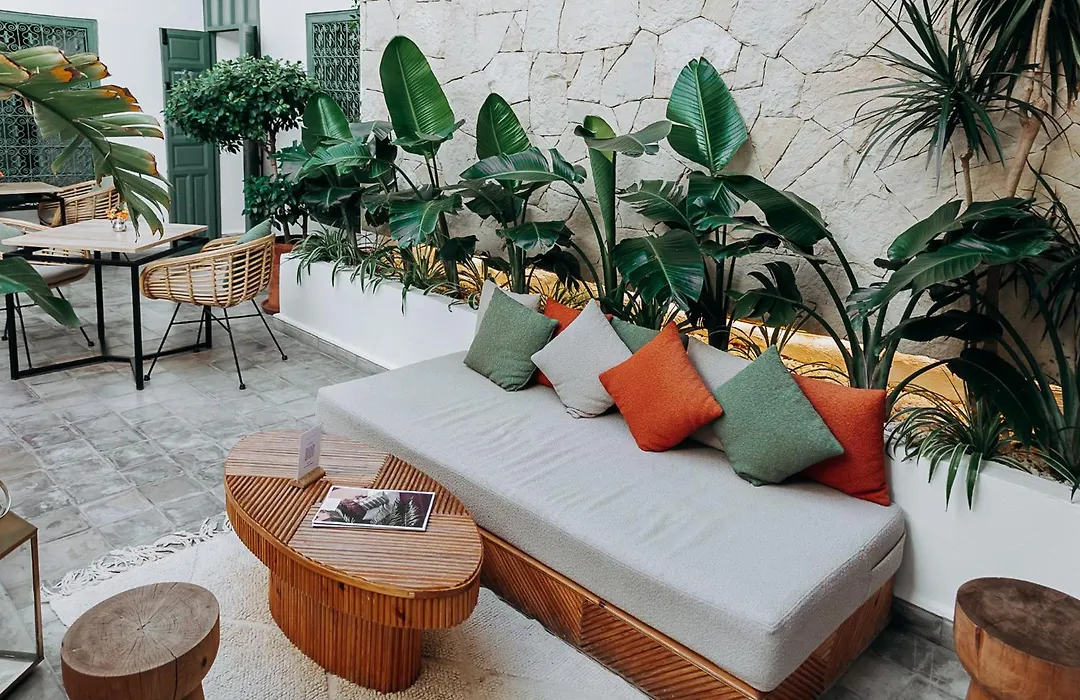 Riad Villa Wenge & Spa-1