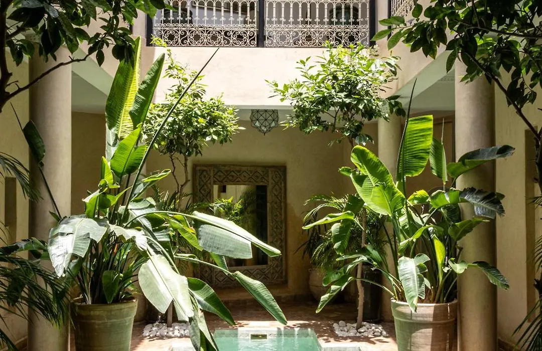 Riad O-1