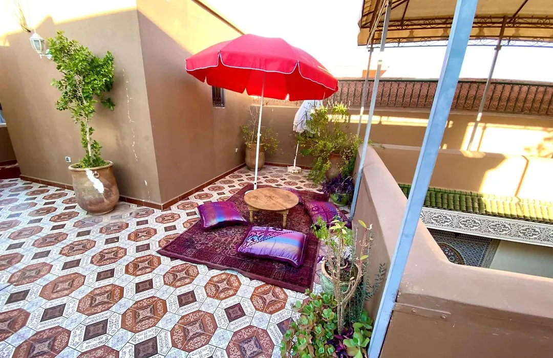 Riad Jibril-1