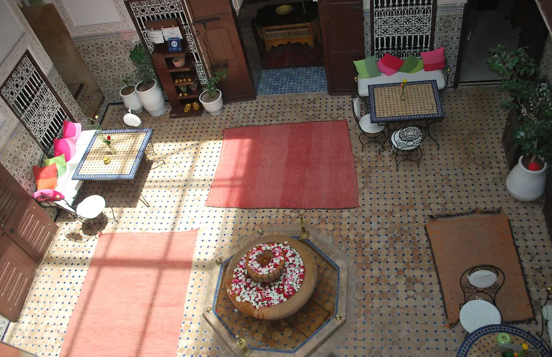 Riad Les Oliviers&Spa-1