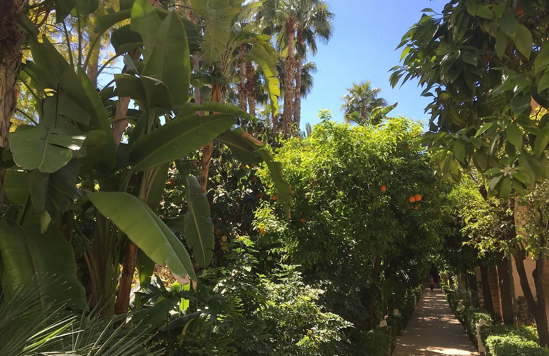 Marrakech Retreat-1