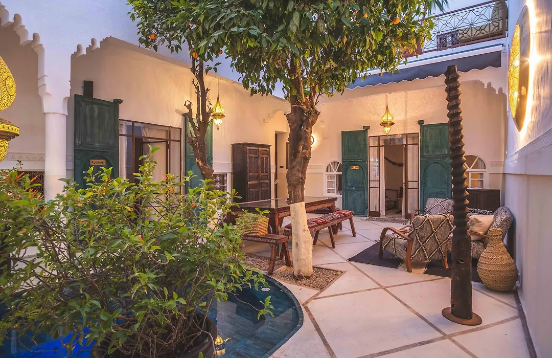 Riad Villa Berna Under Swiss Management-1