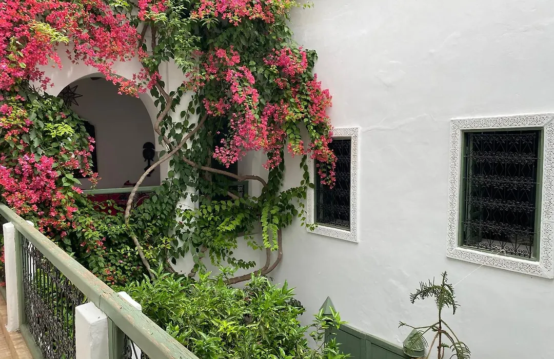 Riad Timila-1