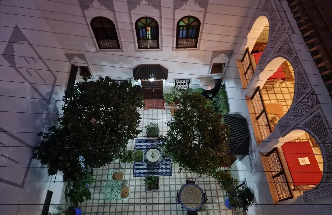 Riad Dalia-1