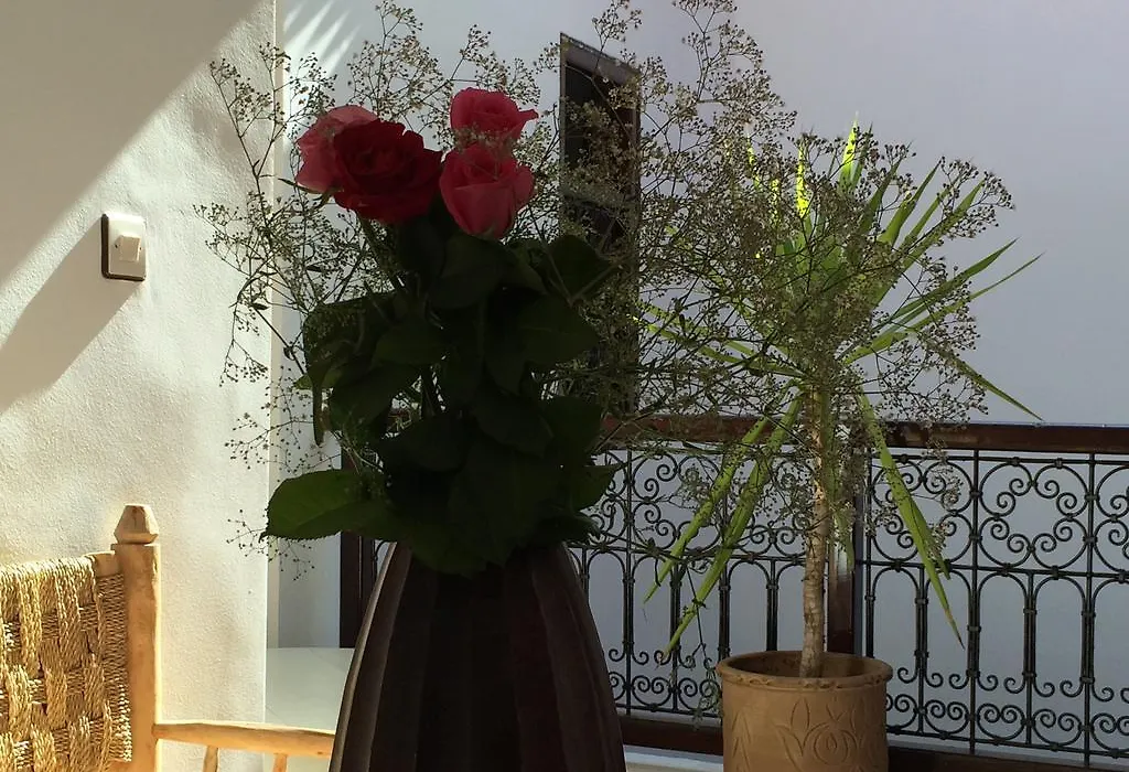 Dar Rosa-1