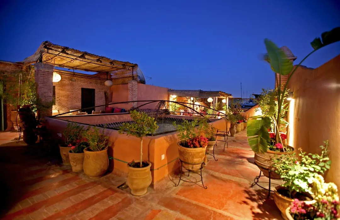 Rc Riad-1