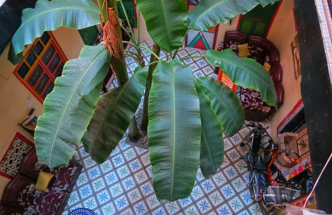 Riad Espagne-1