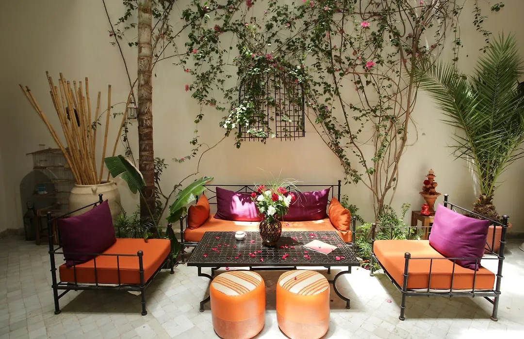 Riad White Flowers-1