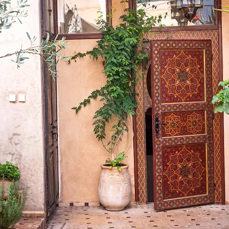 Riad Mur Akush-3
