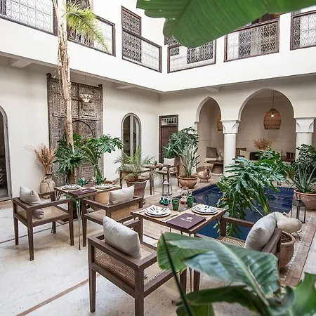 Riad Farhan-2