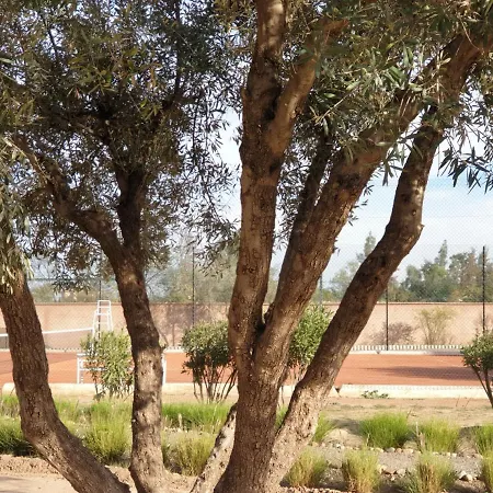 Exclusive Pool Villa Marrakech-3