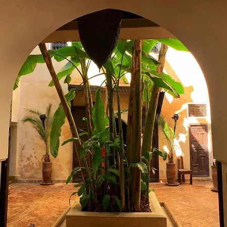 Riad Bamileke-2