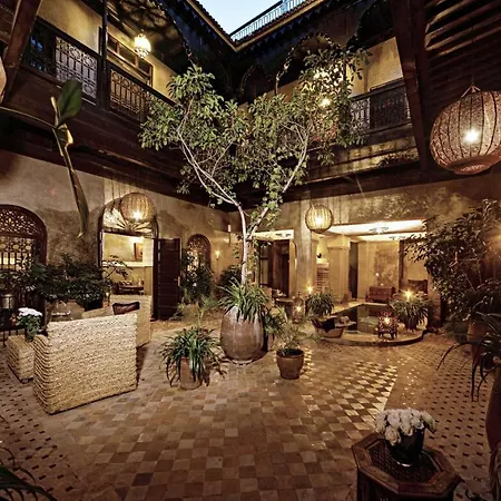 Riad Khol-3