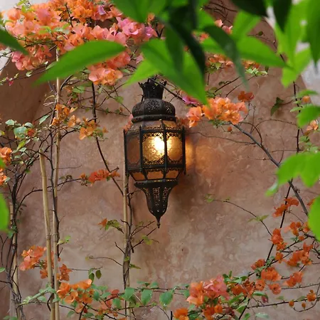 Ryad Dar Ganou-2