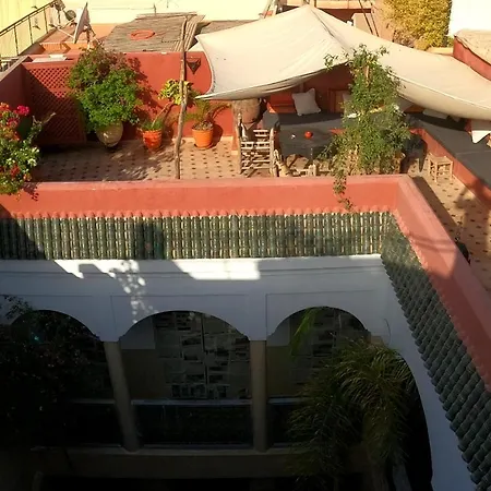Riad Bel Haj-2