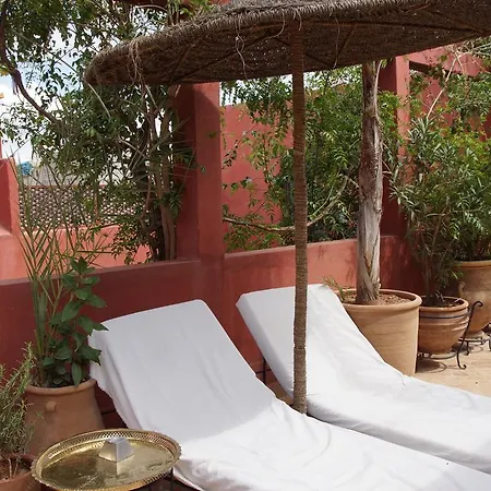 Riad Honey-2