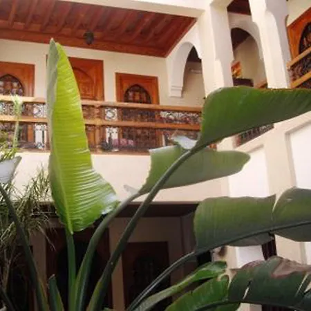 Riad Dubai-2