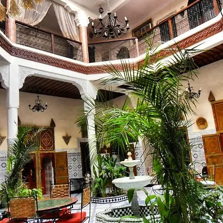 Riad Chennaoui-3