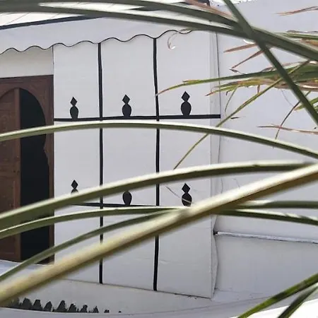 Riad Ayada-2