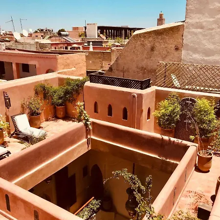 Riad Akl-3