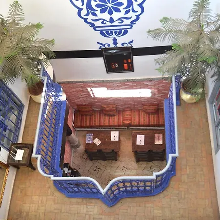 Riad Wink-3