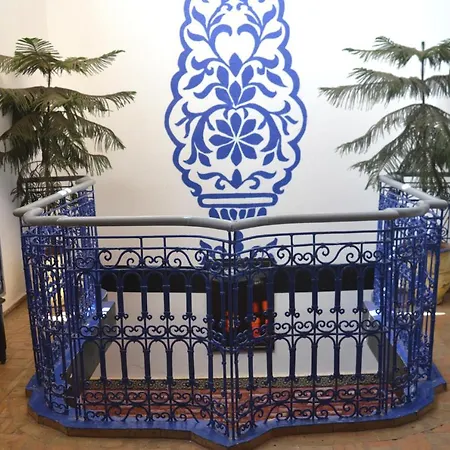 Riad Wink-2