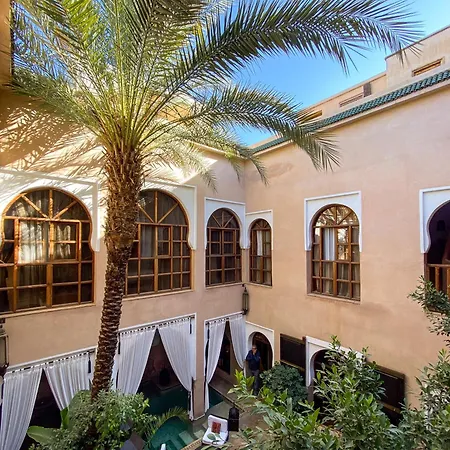 Riad Selouane-2
