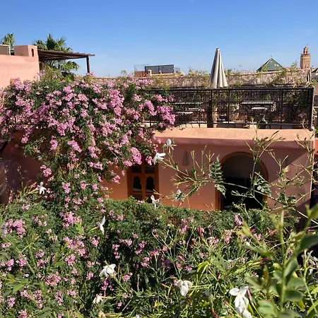 Riad Chameleon-2