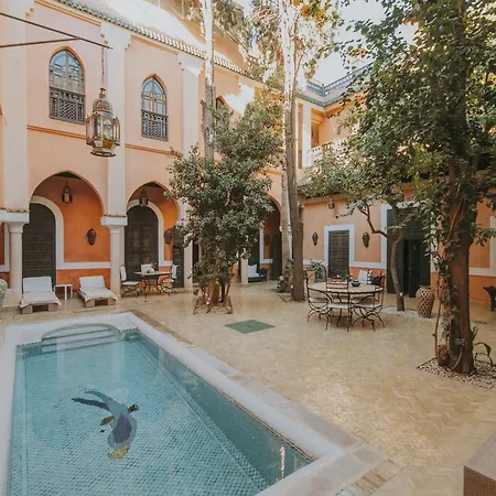 Riad Le Perroquet Bleu Suites & Spa-3