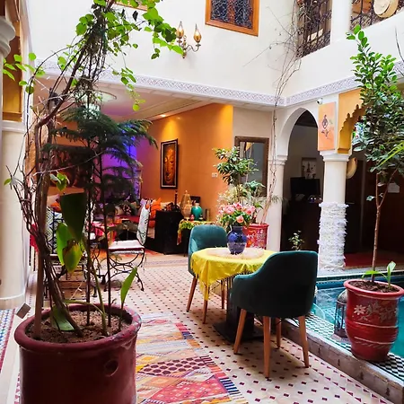 Riad Zahri-2