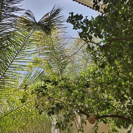 Riad Naanaa Bed & Breakfast-2