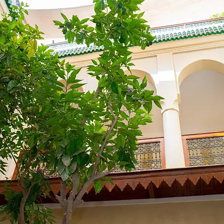 Riad Dar Zaouia-2
