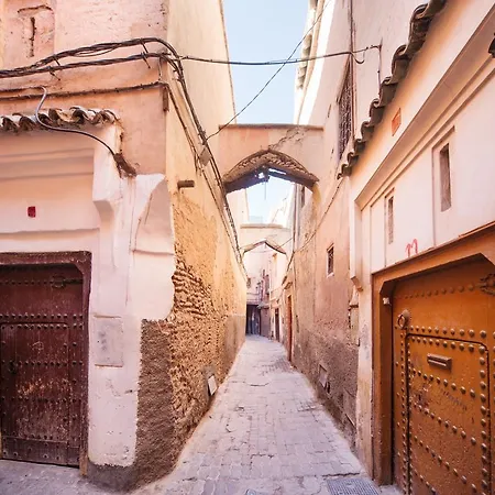 Riad Darhani-3