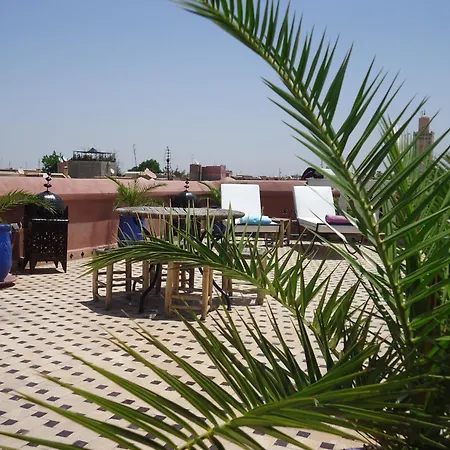 Riad Tahar Oasis-3