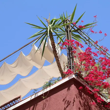 Riad Celia-3