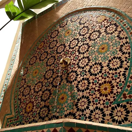 Riad Signature-2