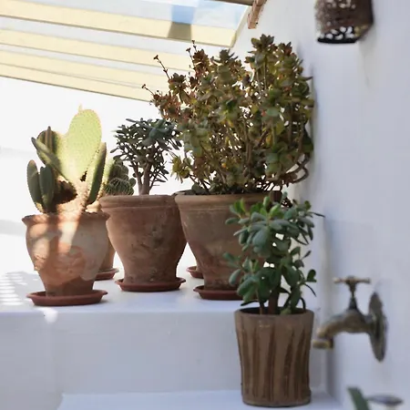 Riad Dar Jabel-3