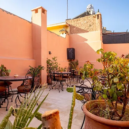 Riad La Gazelle Du Sud-2
